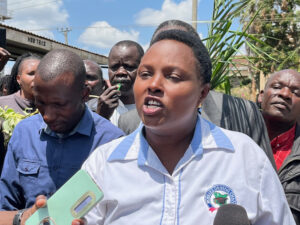 unnamed (8)